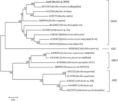 Characterization and Application of a New β-Galactosidase Gal42 From Marine Bacterium Bacillus sp. BY02